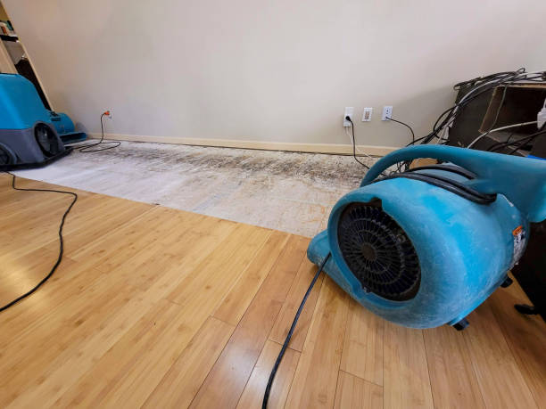 Professional Water Removal technician working in Phil Campbell, AL
